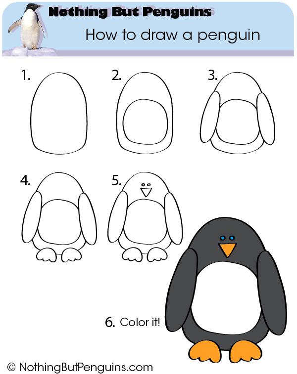 Funny Penguin Drawing