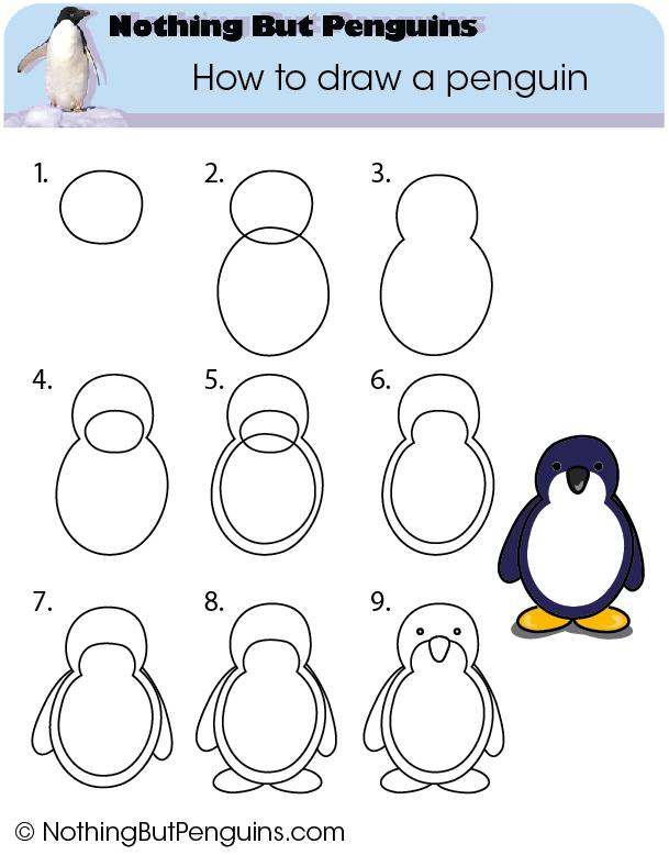 Easy Cute Penguin Drawing